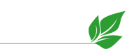 VERT Treatment Centers logo: A symbol of hope, healing, and recovery with green leaves.
